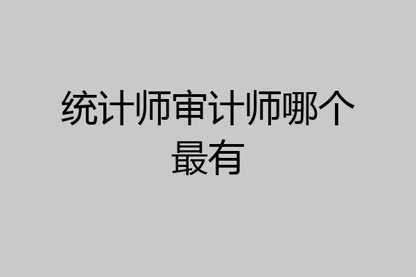 统计师审计师哪个最有