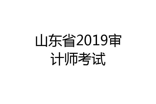 山东省2019审计师考试