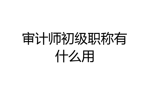 审计师初级职称有什么用