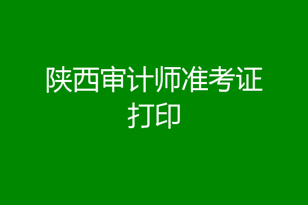 陕西审计师准考证打印