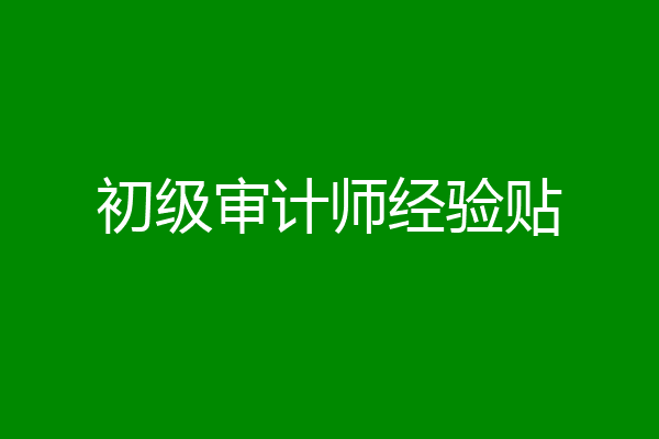 初级审计师经验贴