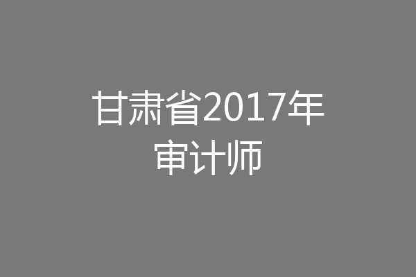 甘肃省2017年审计师