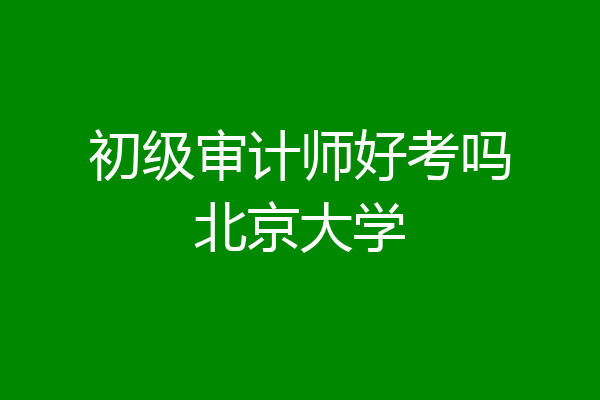 初级审计师好考吗北京大学
