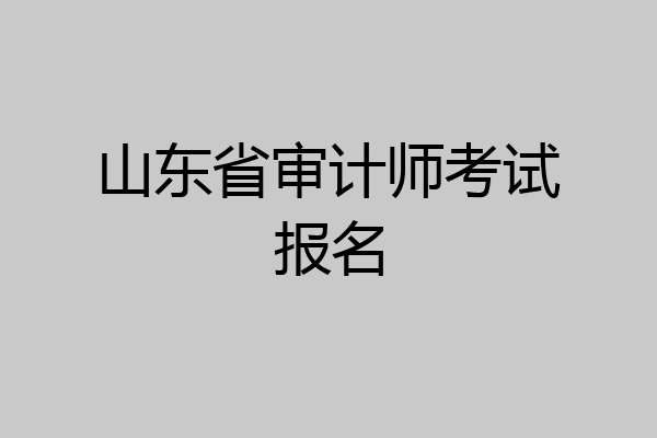 山东省审计师考试报名