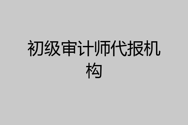 初级审计师代报机构