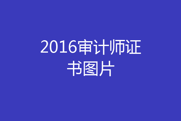 2016审计师证书图片