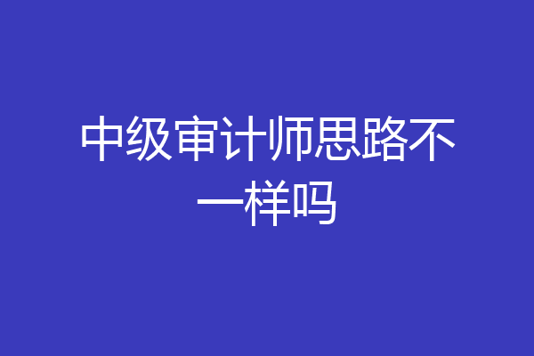 中级审计师思路不一样吗