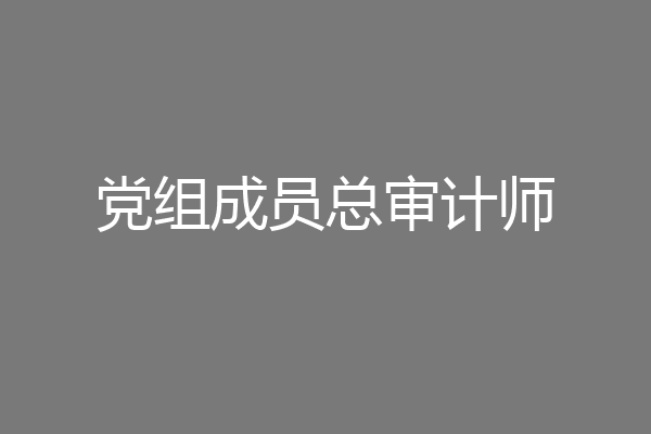 党组成员总审计师