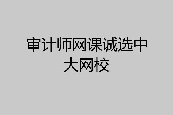 审计师网课诚选中大网校