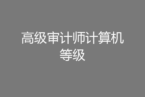 高级审计师计算机等级