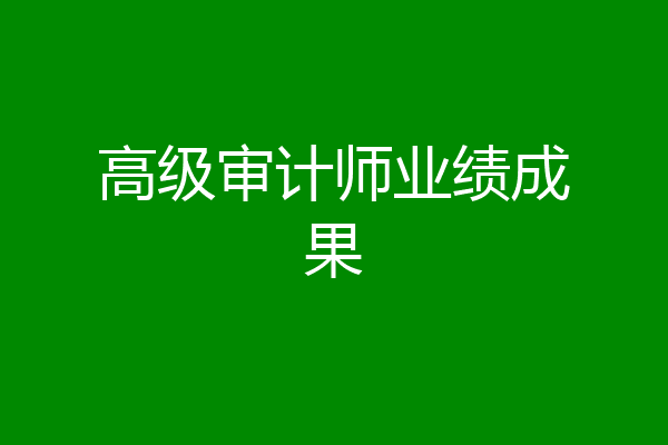 高级审计师业绩成果