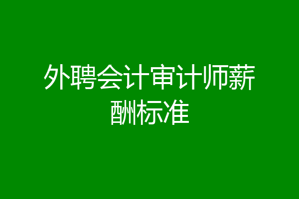 外聘会计审计师薪酬标准