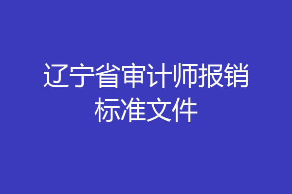 辽宁省审计师报销标准文件