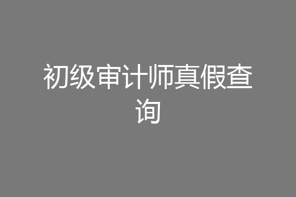 初级审计师真假查询