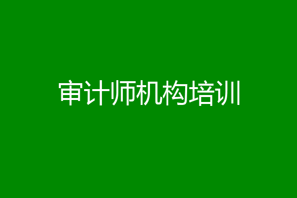 审计师机构培训