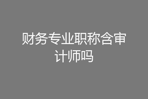 财务专业职称含审计师吗