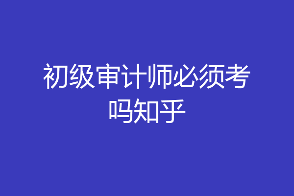 初级审计师必须考吗知乎