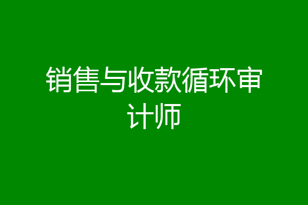 销售与收款循环审计师
