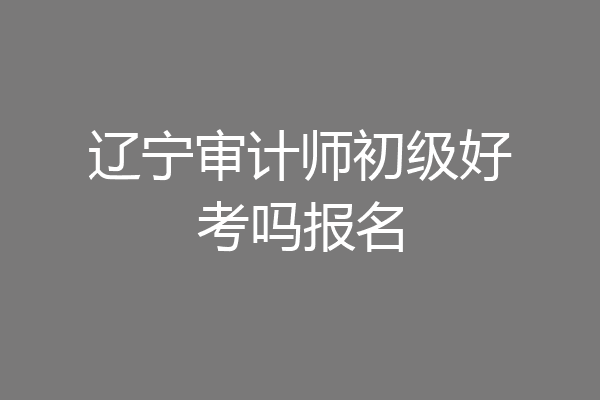 辽宁审计师初级好考吗报名