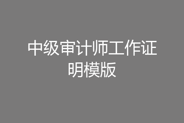 中级审计师工作证明模版