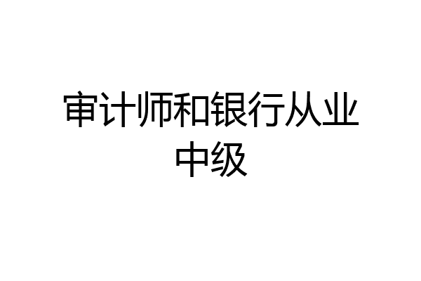 审计师和银行从业中级