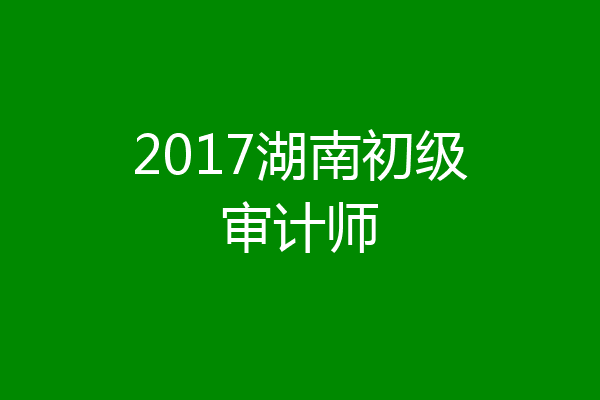 2017湖南初级审计师