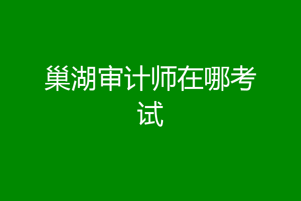 巢湖审计师在哪考试