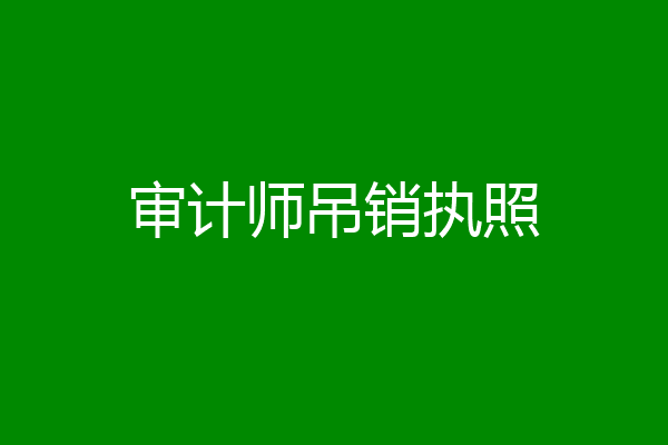 审计师吊销执照