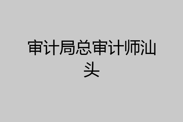 审计局总审计师汕头