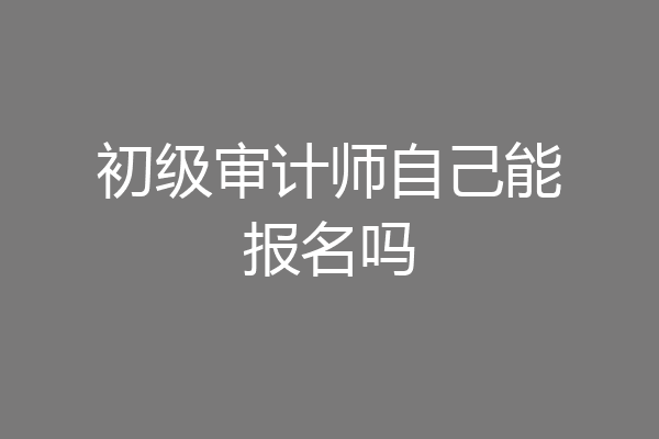 初级审计师自己能报名吗