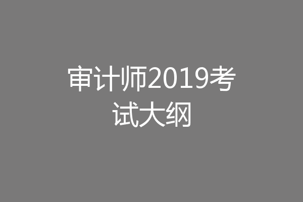 审计师2019考试大纲