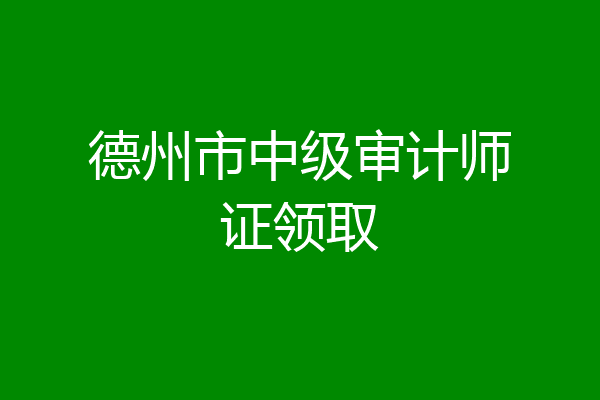 德州市中级审计师证领取