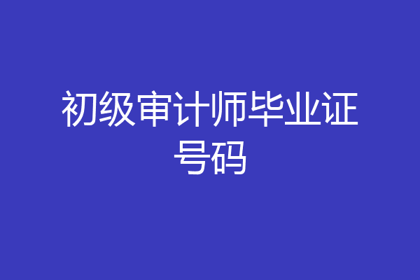 初级审计师毕业证号码
