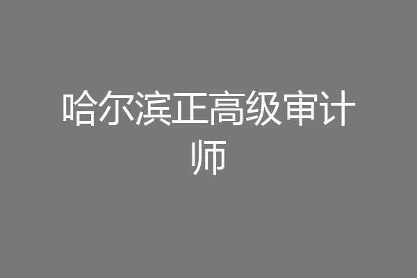 哈尔滨正高级审计师