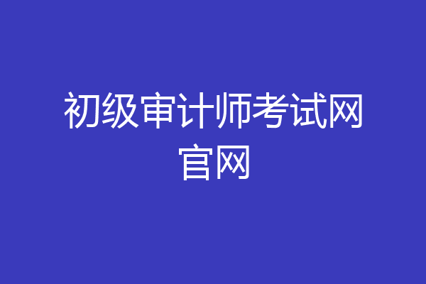 初级审计师考试网官网
