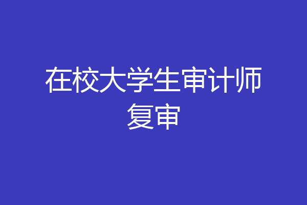 在校大学生审计师复审