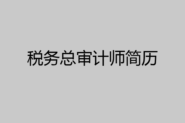 税务总审计师简历