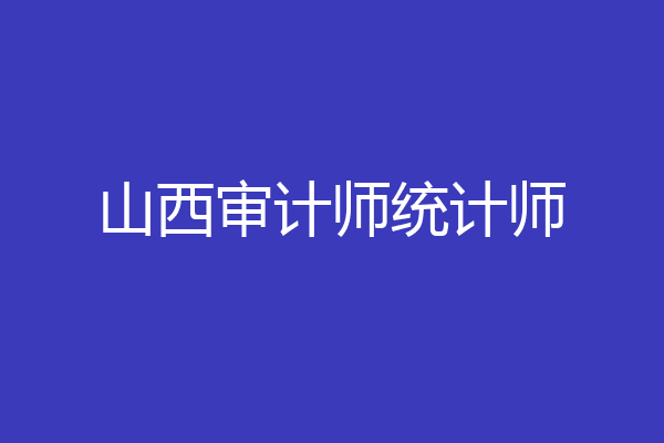 山西审计师统计师