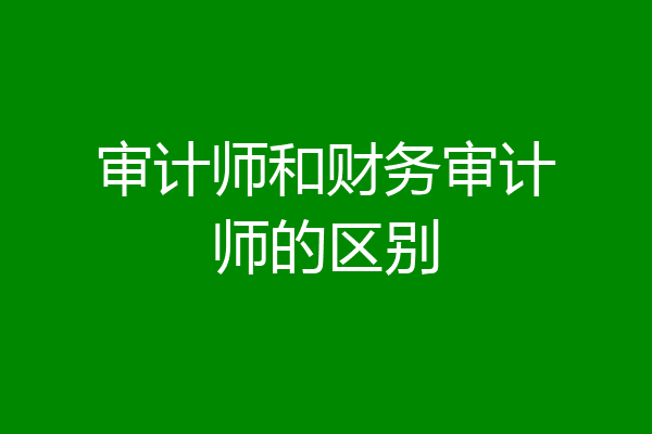 审计师和财务审计师的区别
