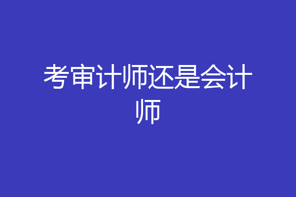 考审计师还是会计师