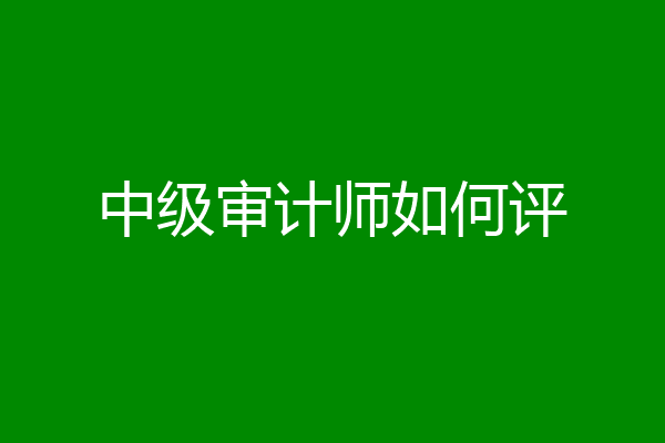 中级审计师如何评