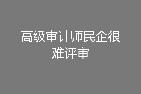 高级审计师民企很难评审