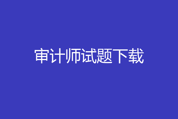 审计师试题下载