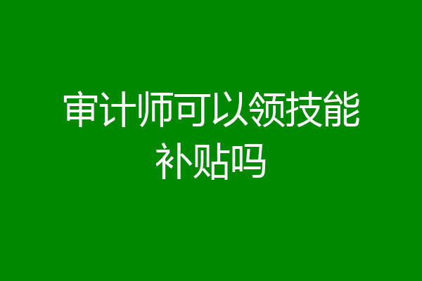 审计师可以领技能补贴吗
