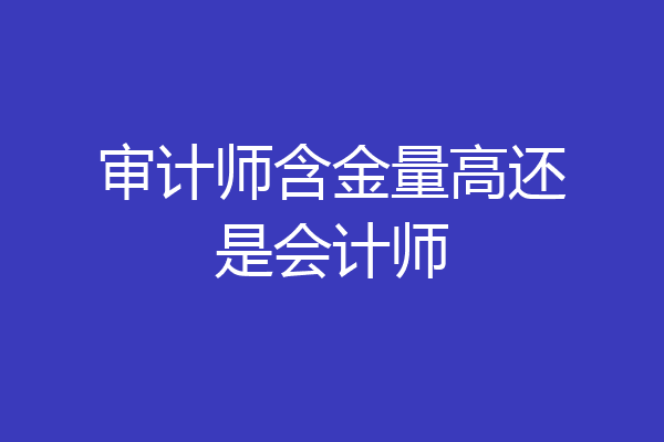 审计师含金量高还是会计师