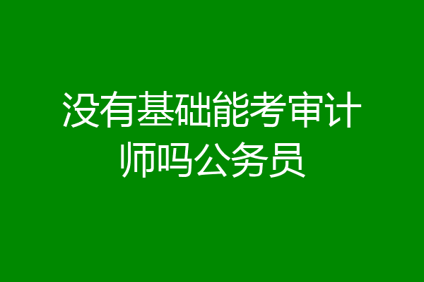 没有基础能考审计师吗公务员