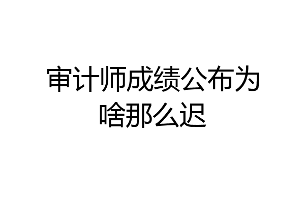 审计师成绩公布为啥那么迟