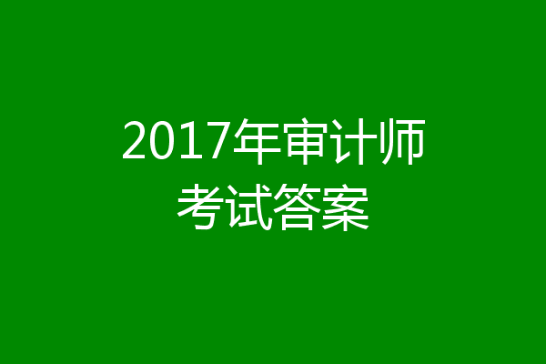 2017年审计师考试答案