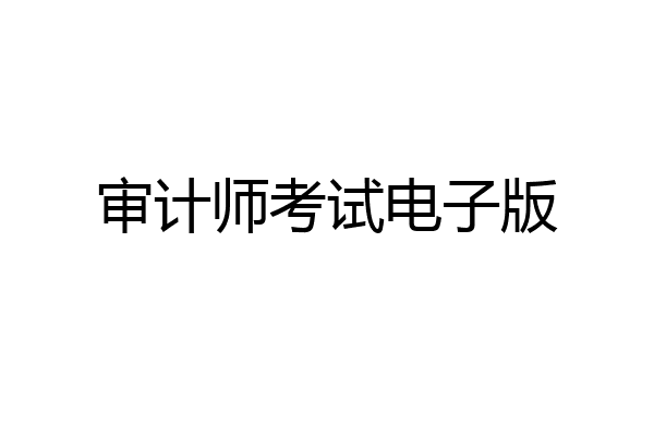 审计师考试电子版