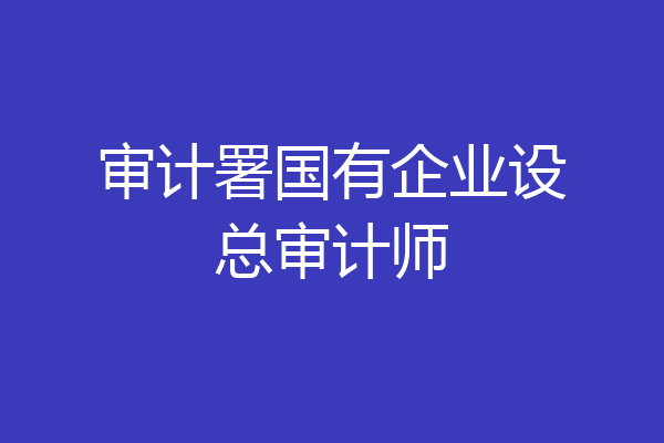 审计署国有企业设总审计师